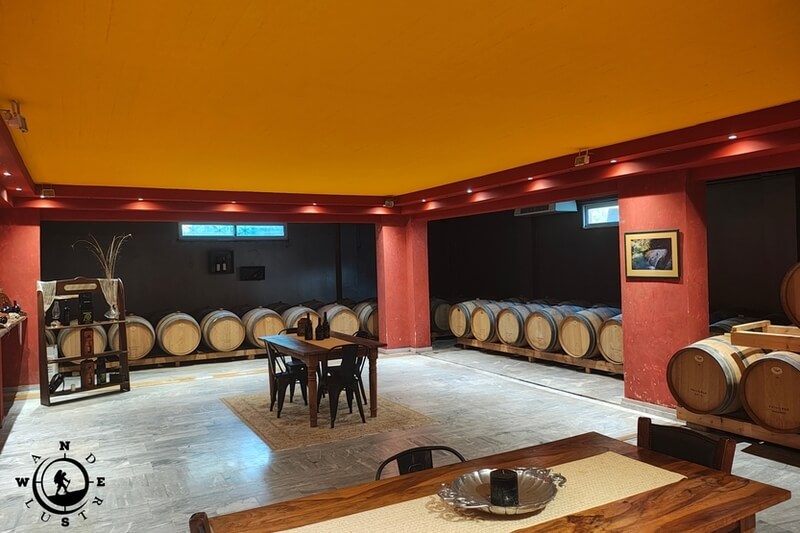 Τοπίο και εγκαταστάσεις του Abelon Ktima Brintziki στο Λαντζόι Ηλείας