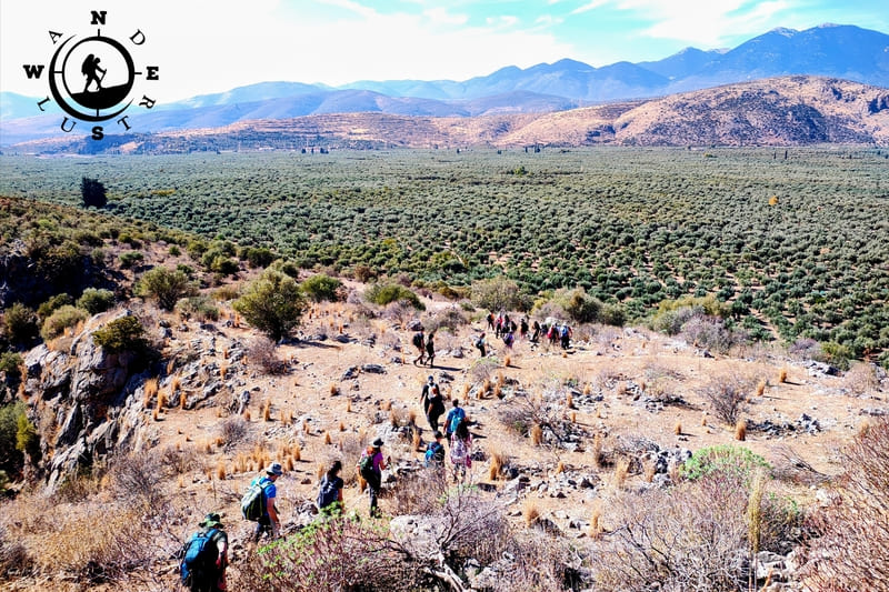 Hiking group on the Ancient Delphi to Kirra trail with the olive grove in the background
