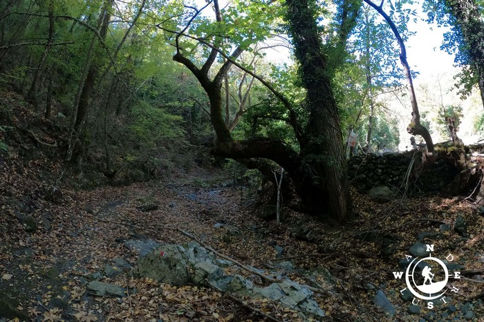 Karyes 02