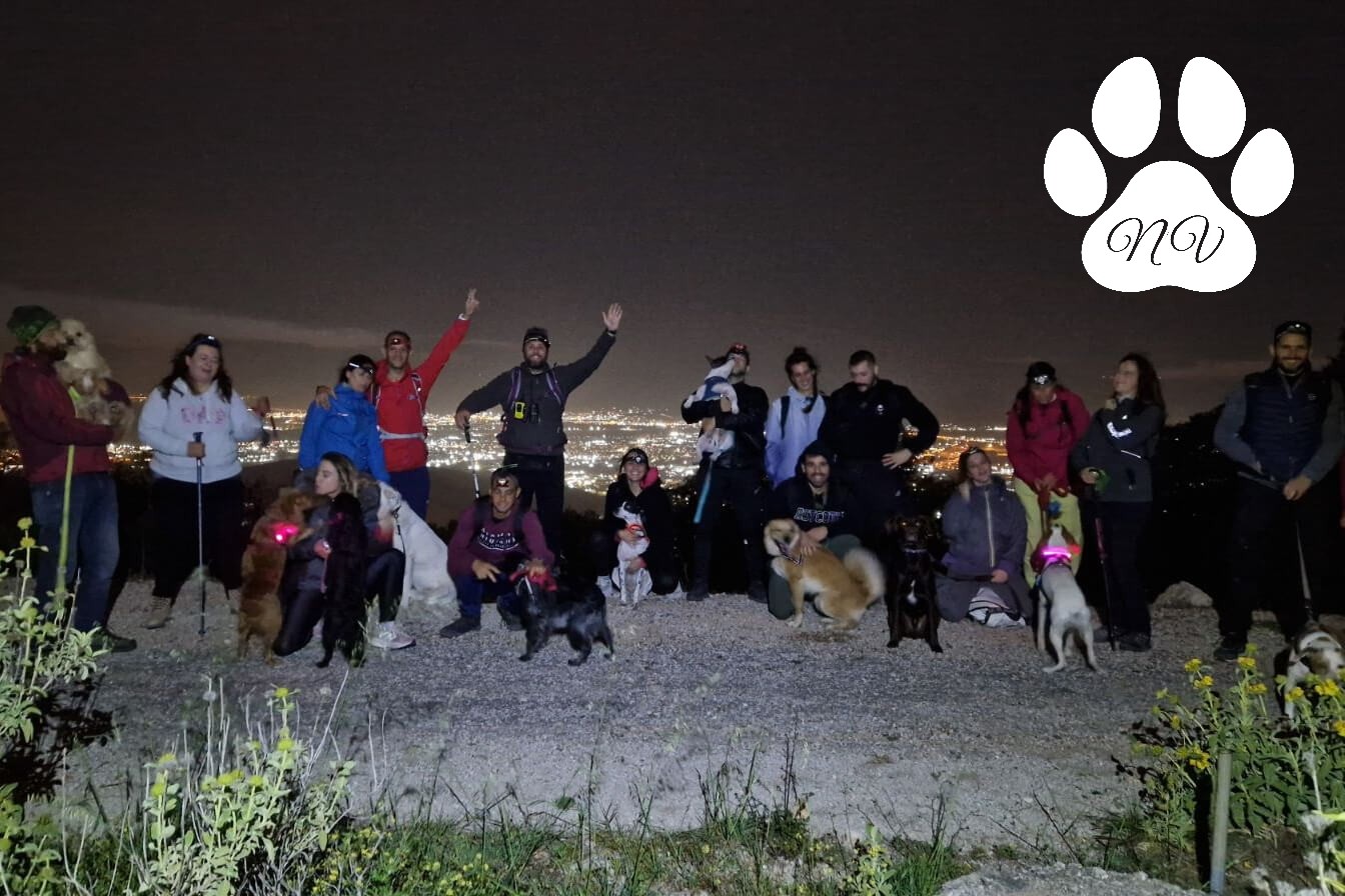 Συμμετέχοντες και σκυλιά του Trekking With Your Dog στο Ποικίλο Όρος κατά τη διάρκεια βραδινής πεζοπορίας