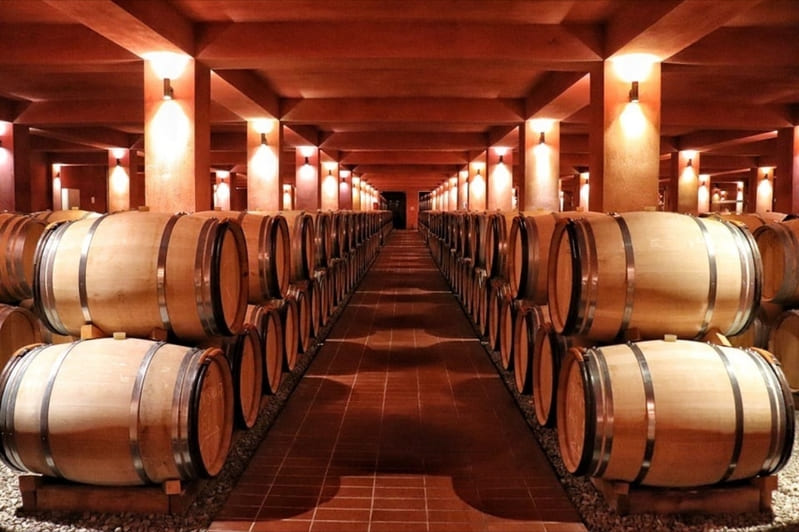 Oak barrel ageing cellar at Alpha Estate in Amyntaio, where wines mature under ideal conditions and develop the character of Xinomavro and the estate’s other grape varieties.