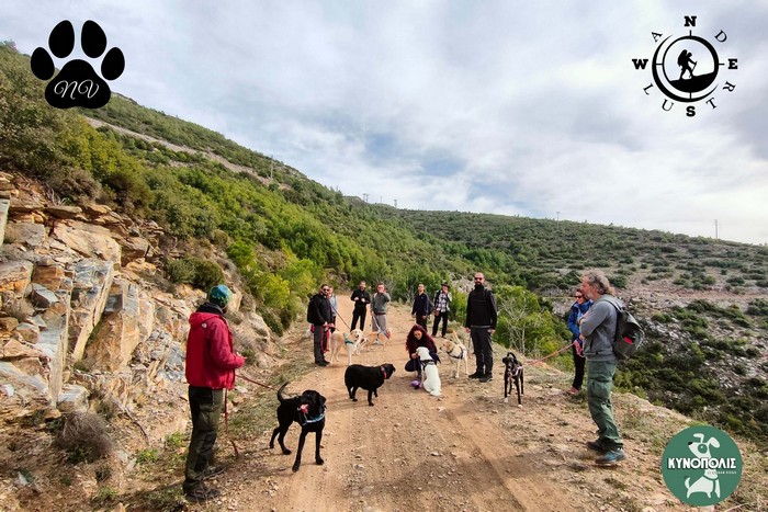Trekking With Your Dog   