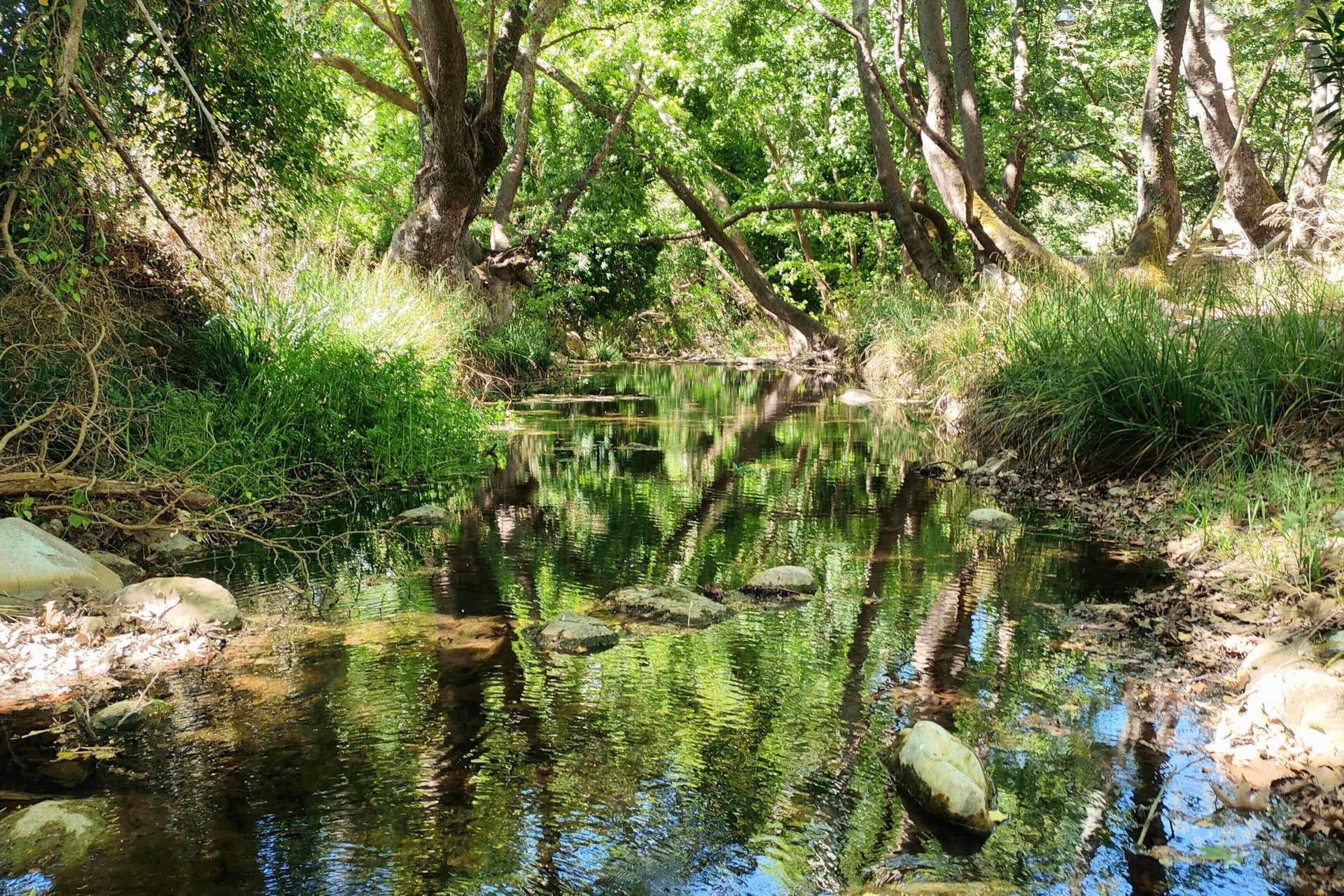 Ράθες, Ρεματιά Βαρνάβα Ποταμοδιάσχιση & Πεζοπορία 
