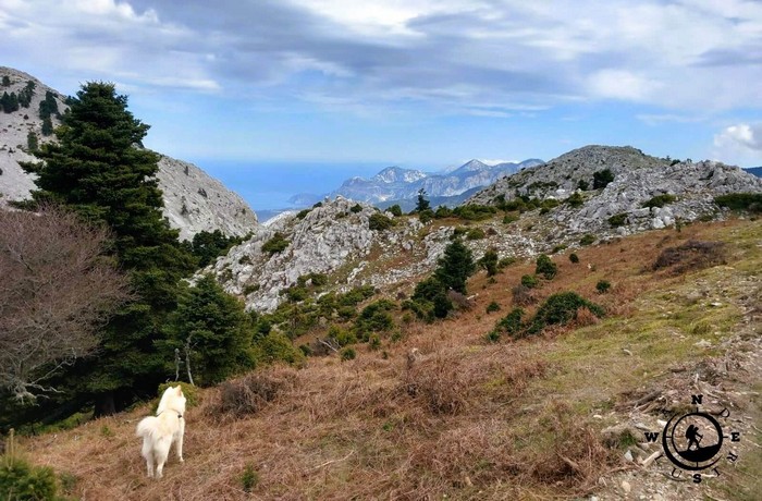Hiking in Steni,Dirfys