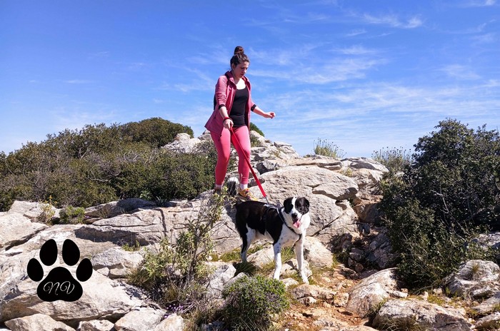 Trekking With Your Dog (Βόρειος Υμηττός)