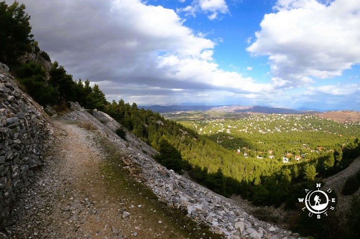 dionysos penteli forest path green