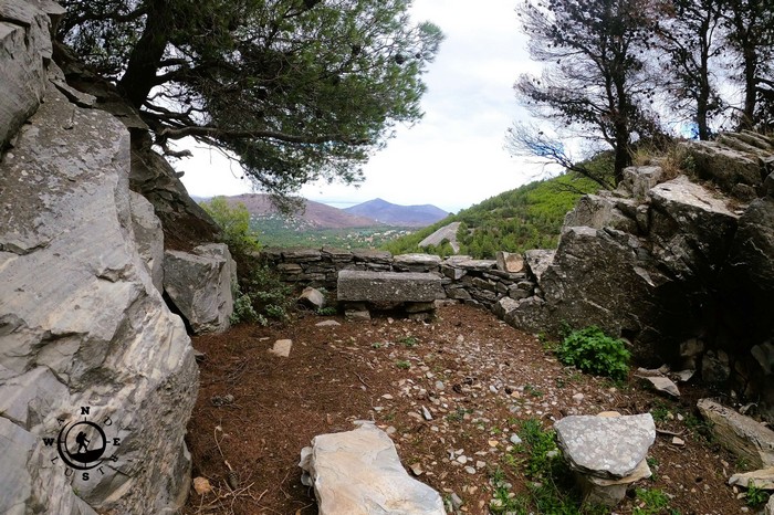 dionysos penteli nature detail