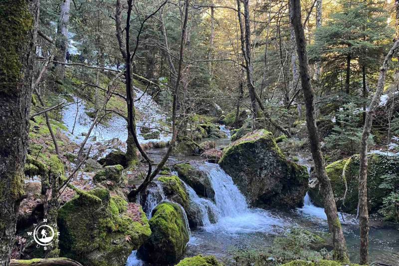 Μικροί καταρράκτες και mossy βράχοι στο δάσος της Ελάτης