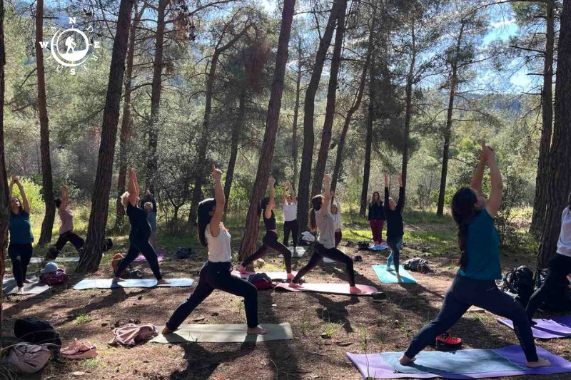 Συμμετέχοντες σε ομαδική πρακτική yoga μέσα στο πευκόδασος του Υμηττού σε ανοιξιάτικη πεζοπορική δραστηριότητα