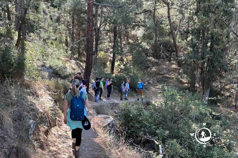 Ομάδα πεζοπόρων σε δασικό μονοπάτι του Υμηττού κατά τη διάρκεια της δραστηριότητας Hiking & Yoga.