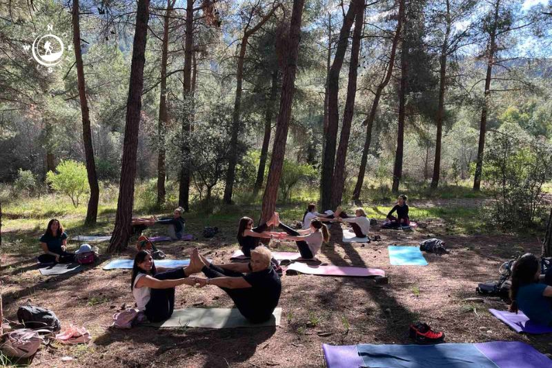 Συμμετέχοντες σε στιγμή χαλάρωσης και yoga μέσα στο πευκόδασος του Υμηττού.