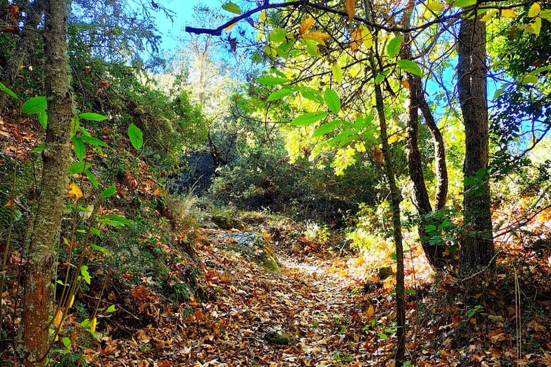 karyes_7_7