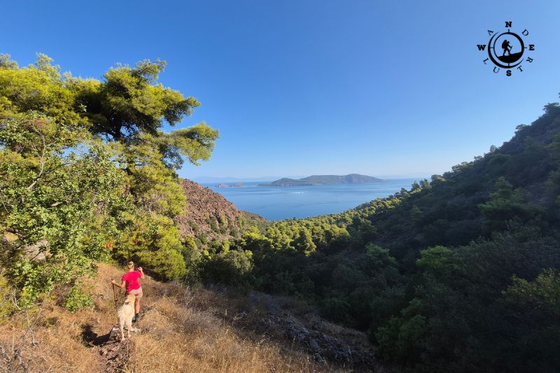 Ομαδική πεζοπορία στο ελατοδάσος της Ελάτης Αρκαδίας