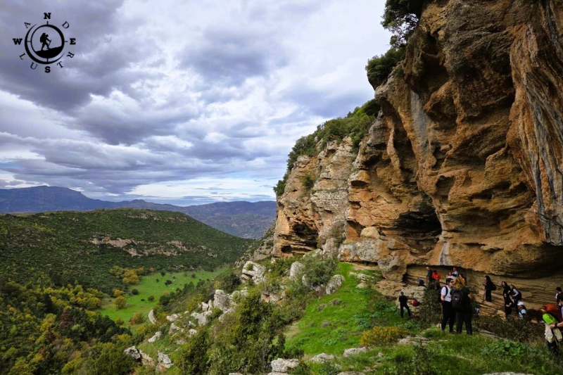 moggostos forest rocky landscape
