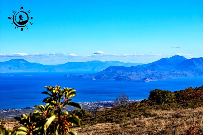 moggostos forest sea view