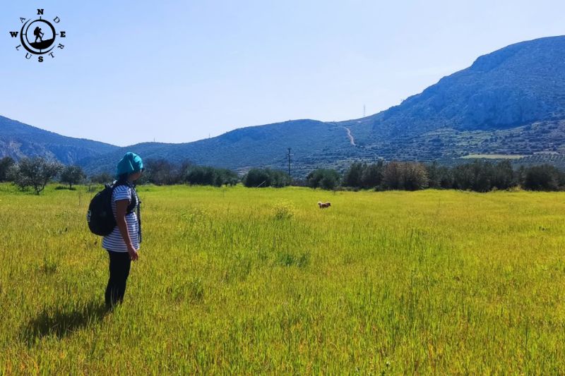 Πεζοπόρος σε ανοιχτό πεδίο με θέα την Αργολίδα στη διαδρομή των Μυκηνών