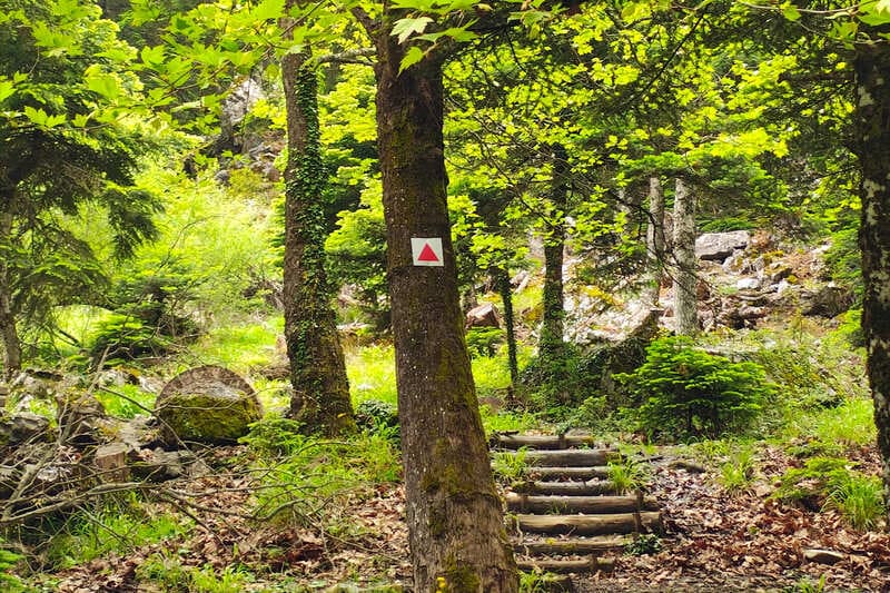 Μεσιανό Νερό Πάρνηθας