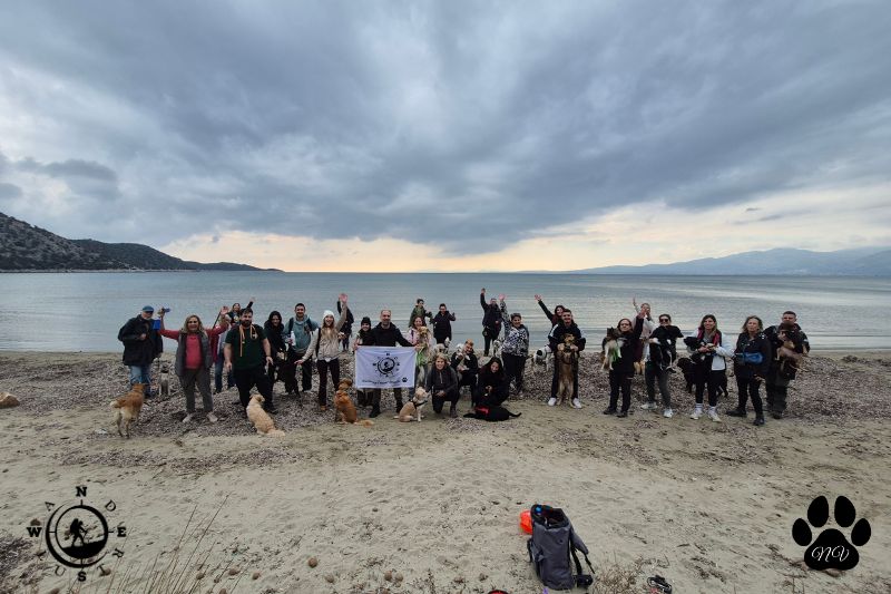 Ομαδική φωτογραφία συμμετεχόντων με σκύλους στην παραλία του Σχινιά