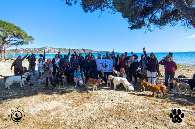 Ομαδική φωτογραφία συμμετεχόντων με σκύλους στην παραλία του Σχινιά