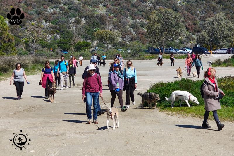 Συμμετέχοντες με σκύλους κατά τη διάρκεια πεζοπορίας στο Σχινιά