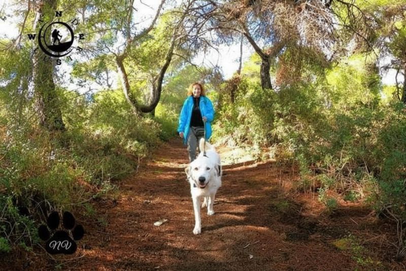 Σκύλος που περπατά με τον ιδιοκτήτη του σε φυσικό μονοπάτι στο Σχινιά