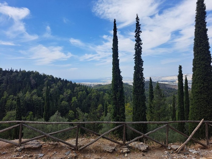 Κυπαρίσσια και θέα στο Αισθητικό Δάσος Υμηττού από σημείο με ξύλινο κιγκλίδωμα