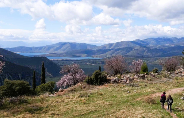 Πεζοπορία  στο Αρχαίο Μονοπάτι Δελφοί-Κίρρα