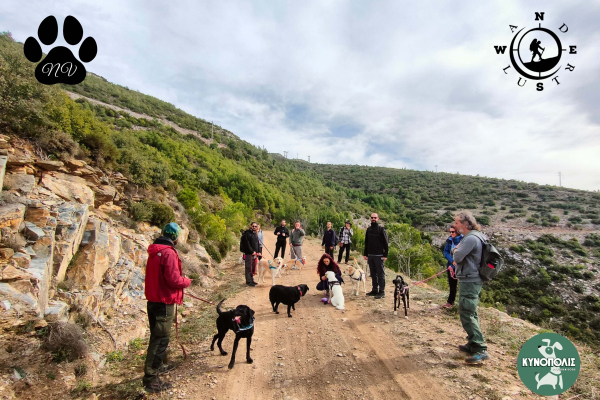 Trekking With Your Dog   