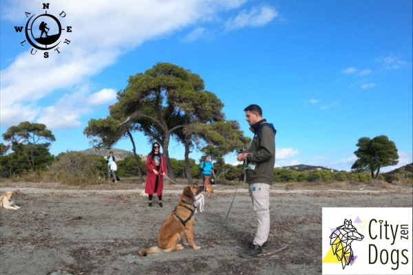 Training With Your Dog  