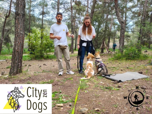Training With Your Dog στον Υμηττό | vol. 34