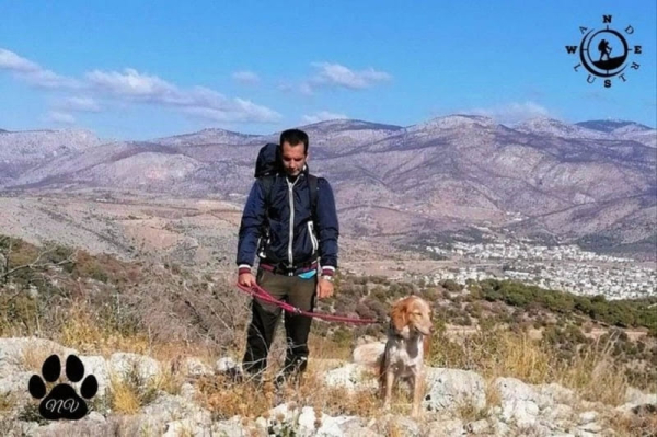 Trekking With Your Dog στο Ποικίλο Όρος 