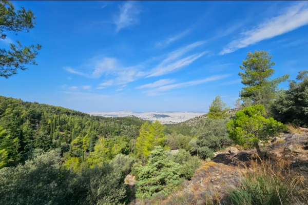 Πεζοπορία στον Υμηττό 