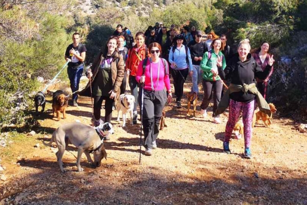 Trekking With Your Dog