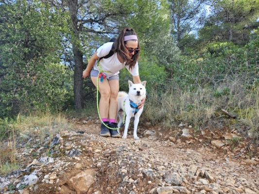 Trekking With Your Dog  