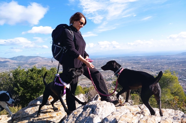 Trekking With Your Dog 