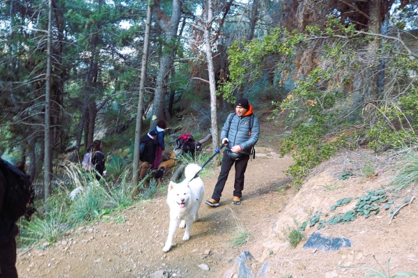 Trekking With Your Dog (Βόρειος Υμηττός) 