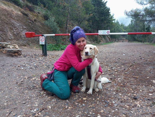 Trekking With Your Dog  