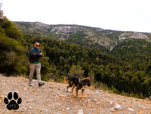 Trekking With Your Dog 