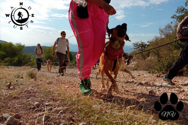 Trekking with Your Dog – Πεζοπορία στον Βόρειο Υμηττό