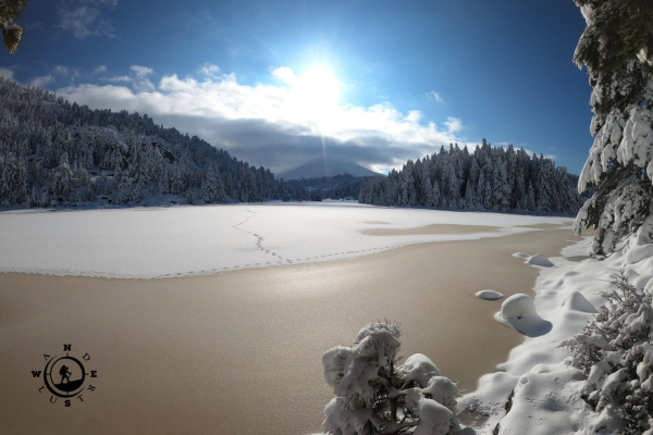 Λίμνη Δασίου καλυμμένη με χιόνι σε χειμερινό τοπίο