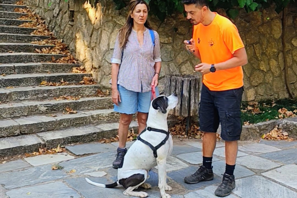 Training With Your Dog | vol. 15